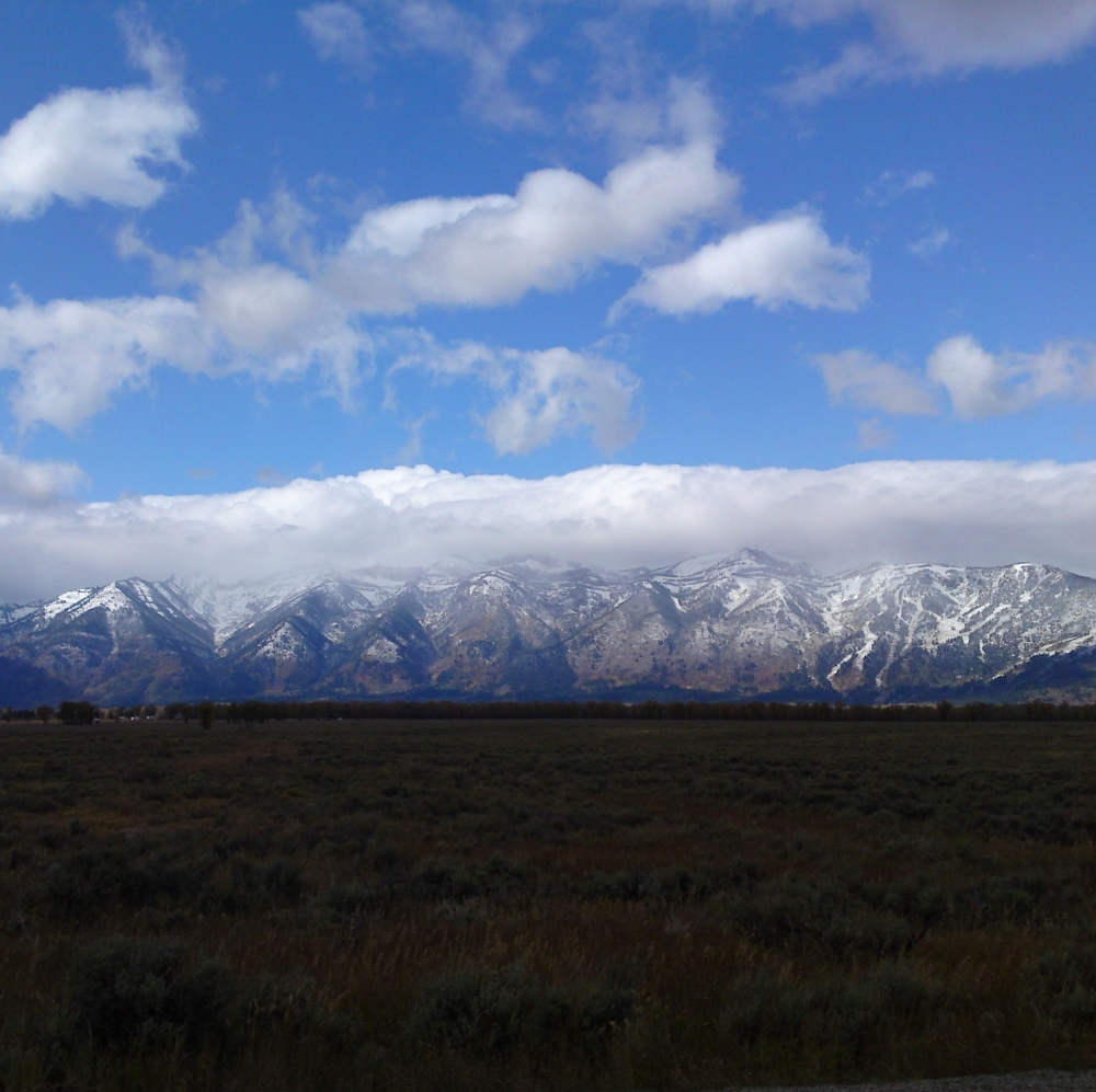 Meet your Posher, Ricky